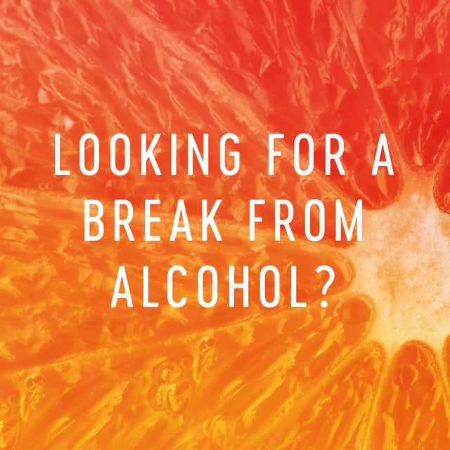 CBD Seltzer Discovery Pack